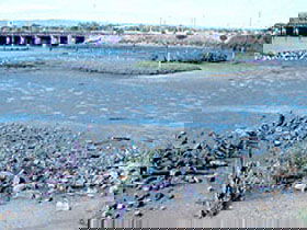 Jervois Basin Ships' Graveyard - Timeshare Accommodation 0