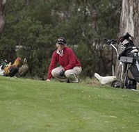 Tasmania Golf Club - The - Timeshare Accommodation