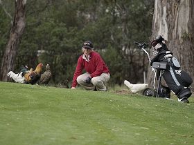 Tasmania Golf Club - The - Timeshare Accommodation 0