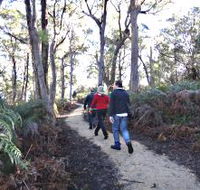 Bridport Walking Track - Timeshare Accommodation