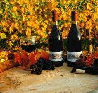 Craigow Vineyard - Timeshare Accommodation
