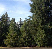 Pialligo Redwood Forest - Timeshare Accommodation