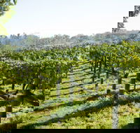 Surveyor's Hill Vineyards - Timeshare Accommodation