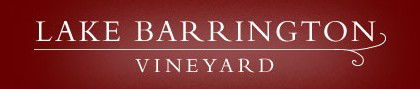 Lake Barrington Estate Vineyard - Timeshare Accommodation 0