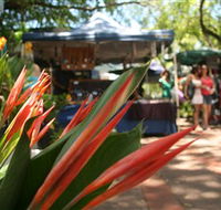 Nightcliff Markets - Timeshare Accommodation