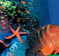 Indo Pacific Marine - Timeshare Accommodation