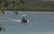 Manton Dam Recreation Area - thumb 0