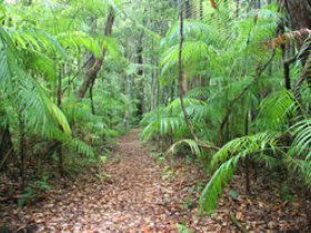 Delicia Road Conservation Park - Timeshare Accommodation 0