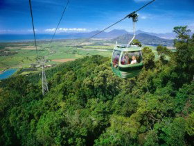 Skyrail Rainforest Cableway - Timeshare Accommodation 0