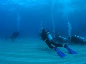 Egg Rock Dive Site - Timeshare Accommodation 0