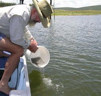 Eungella Dam - Timeshare Accommodation