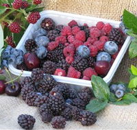 Bright Berry Farms - Timeshare Accommodation