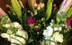 Alpine Blooms Florist Mansfield - thumb 0