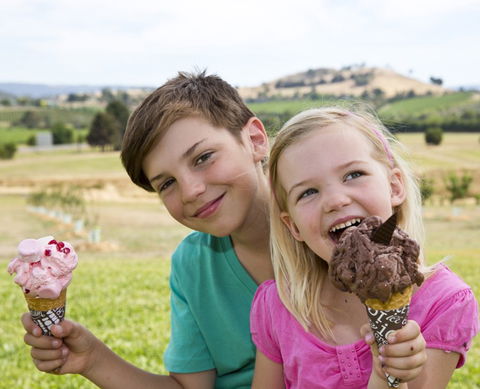 Yarra Valley Chocolaterie & Ice Creamery - Timeshare Accommodation 6