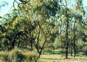 Leaghur State Park - Timeshare Accommodation 0