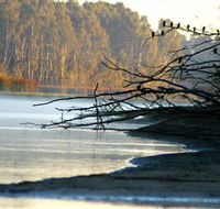 Barmah National Park - Timeshare Accommodation