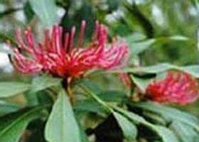 Alfred National Park - Timeshare Accommodation 0