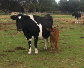 Diggers Rest VIC Timeshare Accommodation