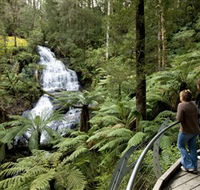 Great Otway National Park - Timeshare Accommodation