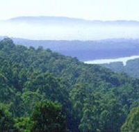 Kalorama Park