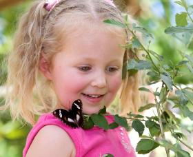Coffs Harbour Butterfly House - Timeshare Accommodation 0