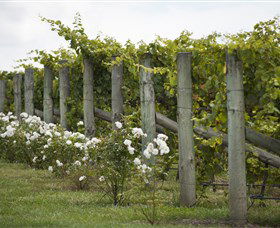 Lambert Vineyards Cellar Door - Timeshare Accommodation 2