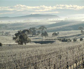Kurrajong Downs Wines Vineyard - Timeshare Accommodation 1
