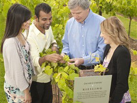 Jacob's Creek Vineyard Tour - Timeshare Accommodation 0