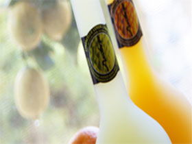 Ambra Limoncello - Timeshare Accommodation 0