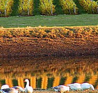 Pipers Brook Vineyard - Timeshare Accommodation