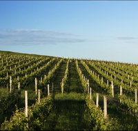 Delamere Vineyard - Timeshare Accommodation