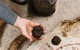 Kiltynane Wines - thumb 7