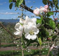 Mouat's Farm - Timeshare Accommodation
