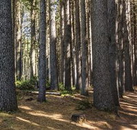 Sugarpine Walk - Timeshare Accommodation