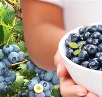 Jolly Berries - Timeshare Accommodation