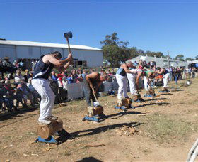 Quirindi Rural Heritage Village - Timeshare Accommodation 1