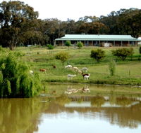 Clearview Alpacas - Timeshare Accommodation