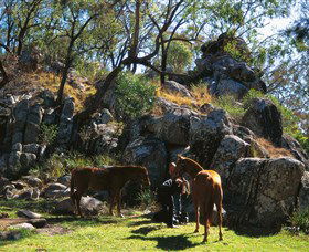 Coomba Falls - Timeshare Accommodation 0