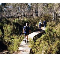 Hume and Hovell Walking Track - Henry Angel Trackhead - Timeshare Accommodation