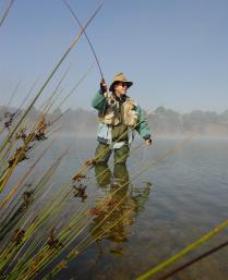Lake Wallace - Timeshare Accommodation 0