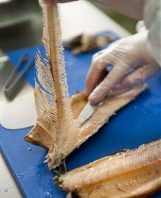 Arc-en-Ciel Trout Farm - Timeshare Accommodation 2