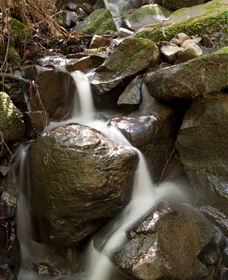 Arc-en-Ciel Trout Farm - Timeshare Accommodation 1