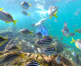 EcoTreasures - Timeshare Accommodation 0
