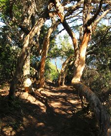 My Walking Detour - Timeshare Accommodation 6