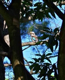 My Walking Detour - Timeshare Accommodation 5