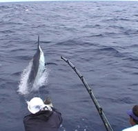 Amokura Charters - Timeshare Accommodation