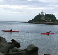 Newcastle Kayak Tours - Timeshare Accommodation