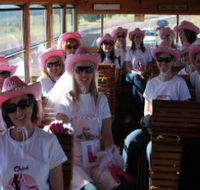 Newcastles Famous Tram - Timeshare Accommodation