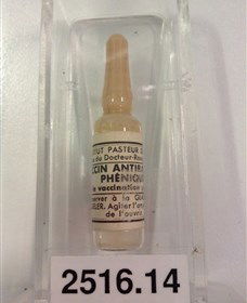 Museum Of Human Disease - Timeshare Accommodation 2