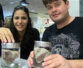 Museum Of Human Disease - Timeshare Accommodation 1